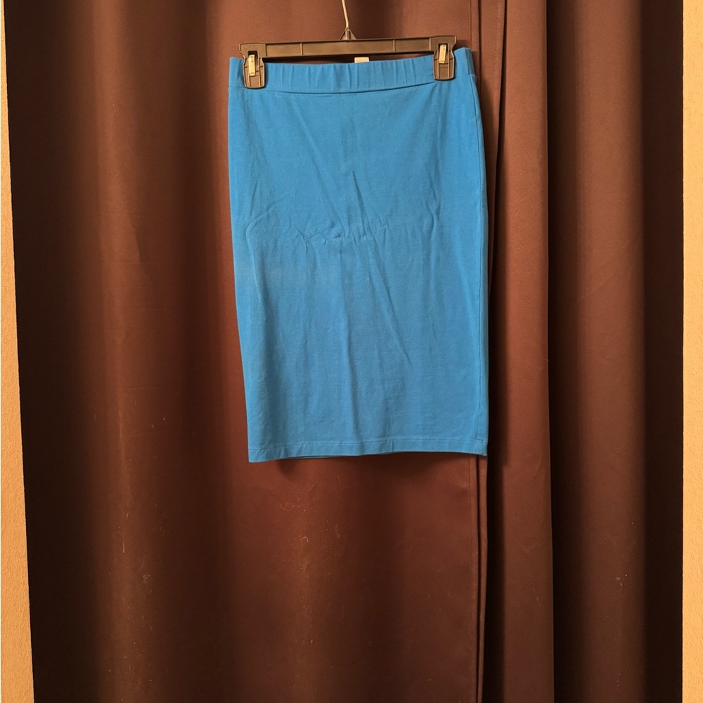 Knee Length Pencil Skirt